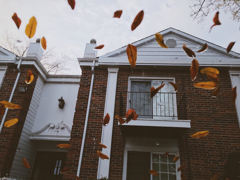 Illustration for article titled 48 Photos Of Autumn Around The World